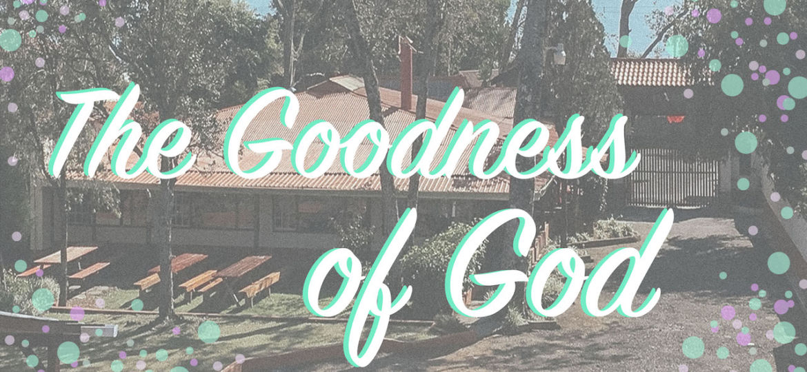 The Goodness of God banner copy